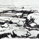 Shoreline Rocks - Galiano Is.