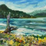 Active Pass at Bellhouse Park